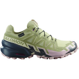 Dámské boty Salomon Speedcross 6 Gore-Tex