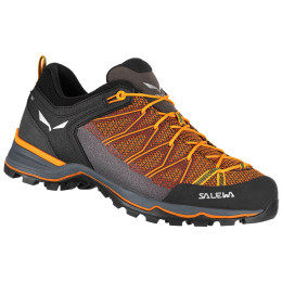 Pánské boty Salewa Ms Mtn Trainer Lite
