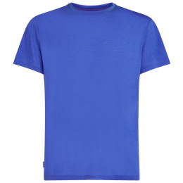 Pánské funkční triko Icebreaker Men Merino Core SS Tee