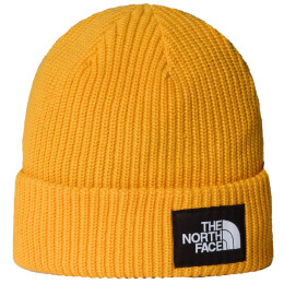 Čepice The North Face Salty Lined Beanie