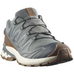 Pánské boty Salomon Xa Pro 3D V9 Gore-Tex Lifelong