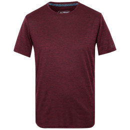 Pánské triko Regatta Fingal Edition