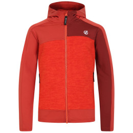 Dětská mikina Dare 2b Thriving II Core St