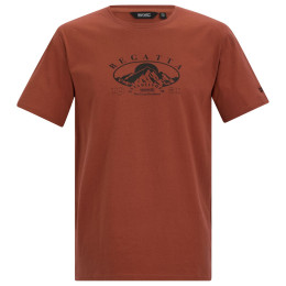 Pánské triko Regatta Cline IX