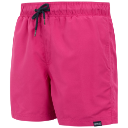 Pánské plavky Regatta Mawson III Swim Shorts