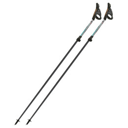 Nordic walking hole Fizan Tekno Race Impulse