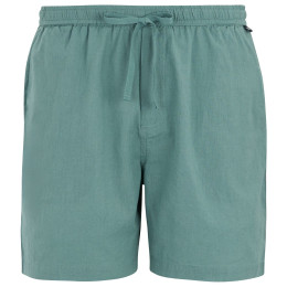 Pánské kraťasy Regatta Hadlin Shorts