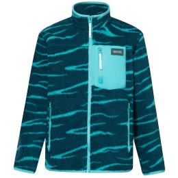 Dětská funkční mikina Regatta Junior Frankie Warm Fleece Mediterranea Zebra