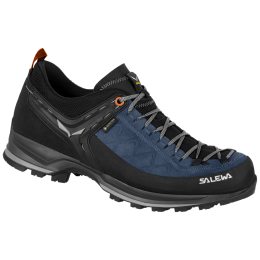 Pánské boty Salewa Ms Mtn Trainer 2 Gtx