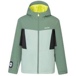 Dětská zimní bunda Regatta Beamz Dark Forest/Glacier Green