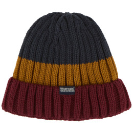 Zimní čepice Regatta Davion Hat V