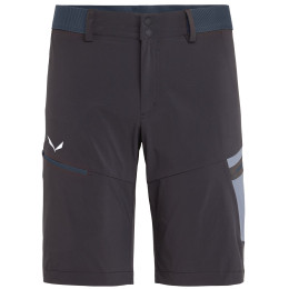 Pánské kraťasy Salewa Pedroc Cargo 2 DST M Shorts