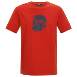 Pánské triko Regatta Cline IX