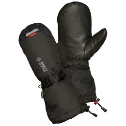 Zimní palčáky Direct Alpine Thermo Mitt černá