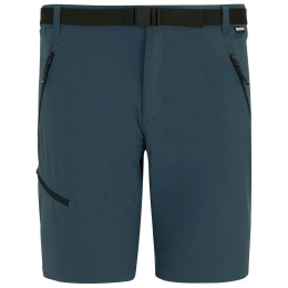 Pánské kraťasy Regatta Xert Stretch Shorts