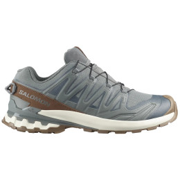Pánské boty Salomon Xa Pro 3D V9 Gore-Tex Lifelong