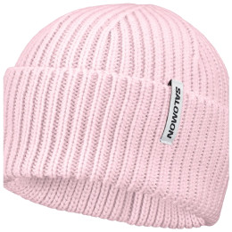 Čepice Salomon Snowbird Beanie U