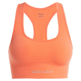 Sportovní podprsenka Icebreaker Women Merino Seamless Active Bra