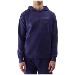 Pánská mikina 4F Sweatshirt M0950