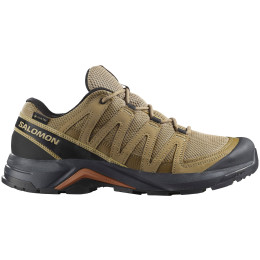 Pánské turistické boty Salomon X-Adventure Recon Gore Tex