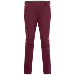 Dětské kalhoty Regatta Tech Mountain Trousers Fig