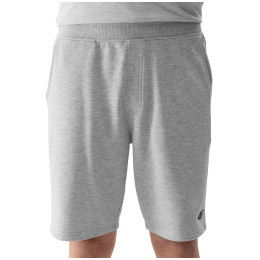 Pánské kraťasy 4F Shorts Cas M284