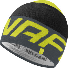 Čepice Dynafit Radical Beanie