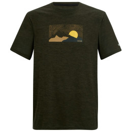 Pánské triko Regatta Fingal