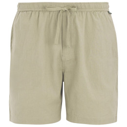 Pánské kraťasy Regatta Hadlin Shorts