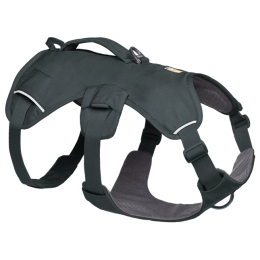 Postroj pro psa Ruffwear Web Master™ Harness