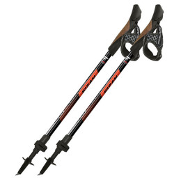 Nordic walking hole Fizan R-Evolution Pro