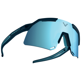 Sluneční brýle Dynafit Ultra Evo Sunglasses