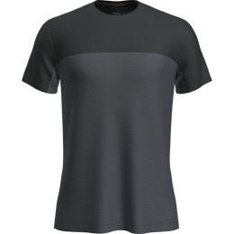 Pánské funkční triko Icebreaker Men Merino 125 Cool-Lite™ Sphere III SS Tee Colour Block