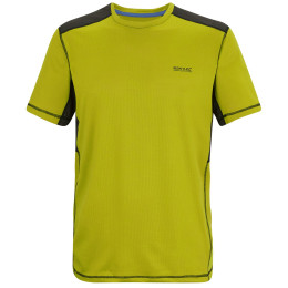 Pánské triko Regatta Virda