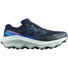 Pánské boty Salomon Ultra Flow 2 Gore-Tex