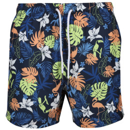 Pánské plavky Regatta Loras Swim Short m