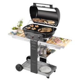 Gril Campingaz El Prado 2200 Woody