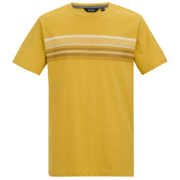 Pánské triko Regatta Rendro