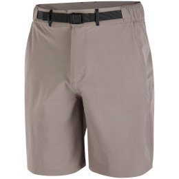 Pánské kraťasy Salomon Wayfarer 2.0 short M