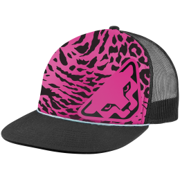 Kšiltovka Dynafit Graphic Trucker Cap
