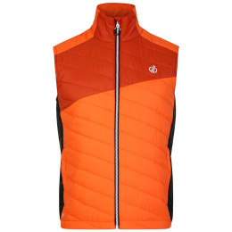 Pánská vesta Dare 2b Touring Gilet