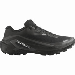 Pánské boty Salomon Genesis 2 GTX