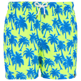 Pánské plavky Regatta Loras Swim Short