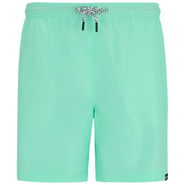 Pánské kraťasy Regatta Mackleyna Swim Short