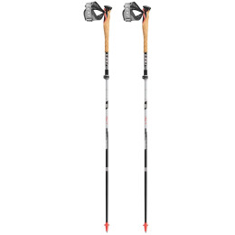 Hole Leki MCT 12 Vario Carbon