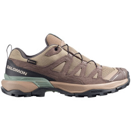 Dámské boty Salomon X Ultra 360 Leather Gore-Tex