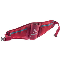 Ledvinka Deuter Pulse 2