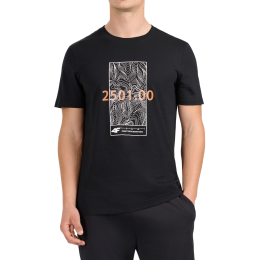 Pánské triko 4F Tshirt M3571