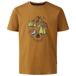 Dětské triko Dare 2b Trailbazer III Tee Dark Cumin