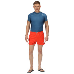 Pánské triko Regatta SS Rash Guard